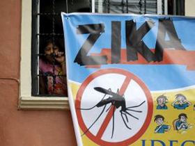 zika virus